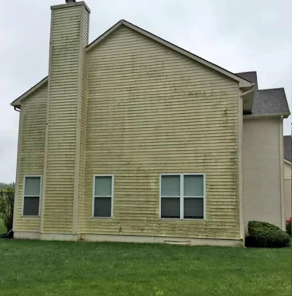 Mishawaka Home With Green Algae On Siding Before Soft Washing By Double A Power Washing