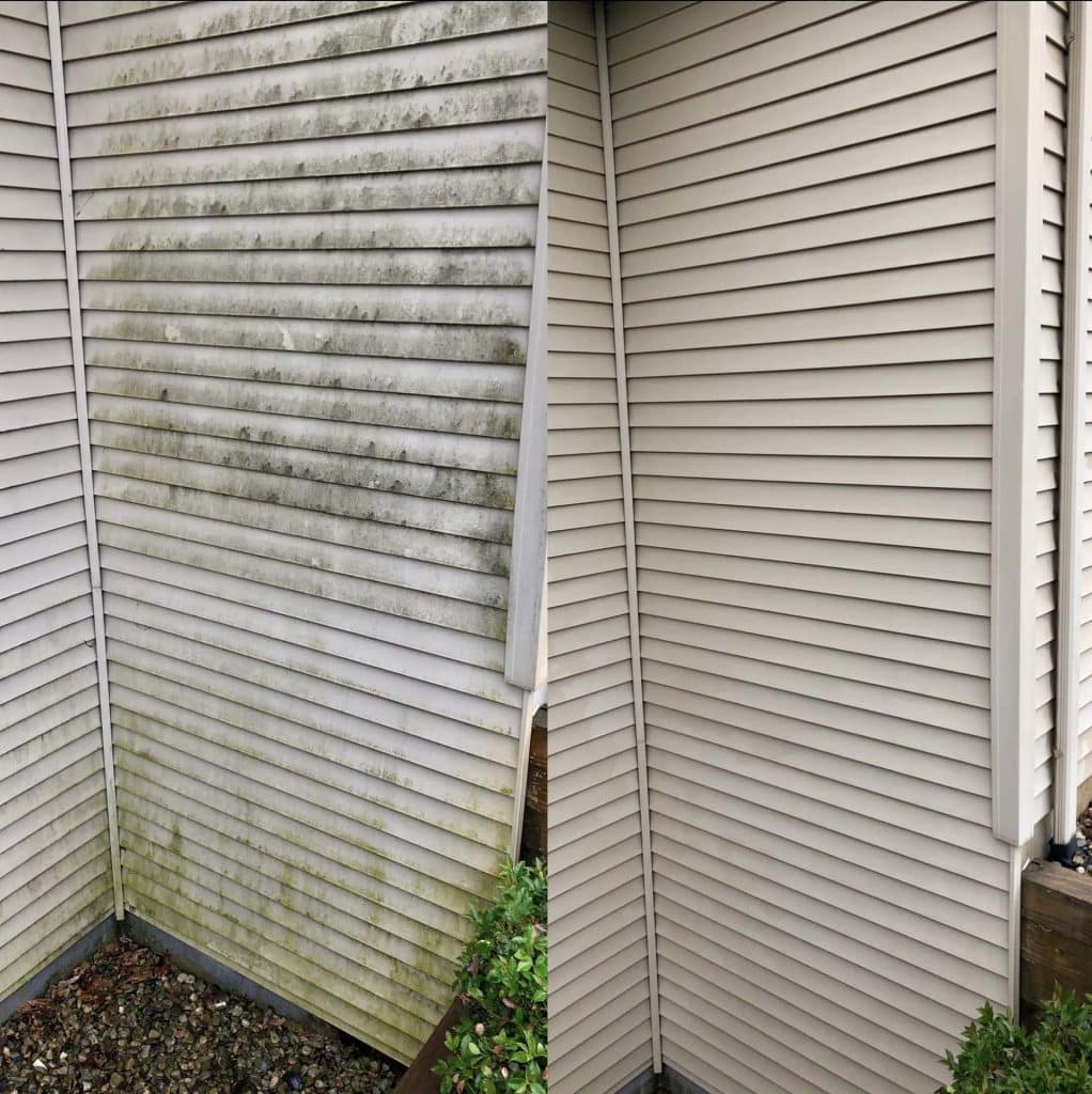 how-to-remove-algae-from-vinyl-siding-martin-roofing-siding