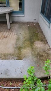 Before — This Concrete Patio Shows Heavy Algae Buildup Alongside Etching Stripes From A Previous Diy Pressure Washing Attempt. — Double A Power Washing