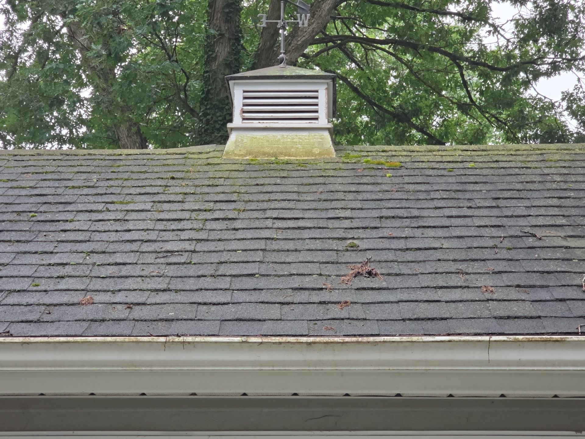 Before: Heavy Moss And Organic Growth On Roof Shingles Can Shorten Roof Lifespan Without Regular Soft Washing.. Double A Power Washing