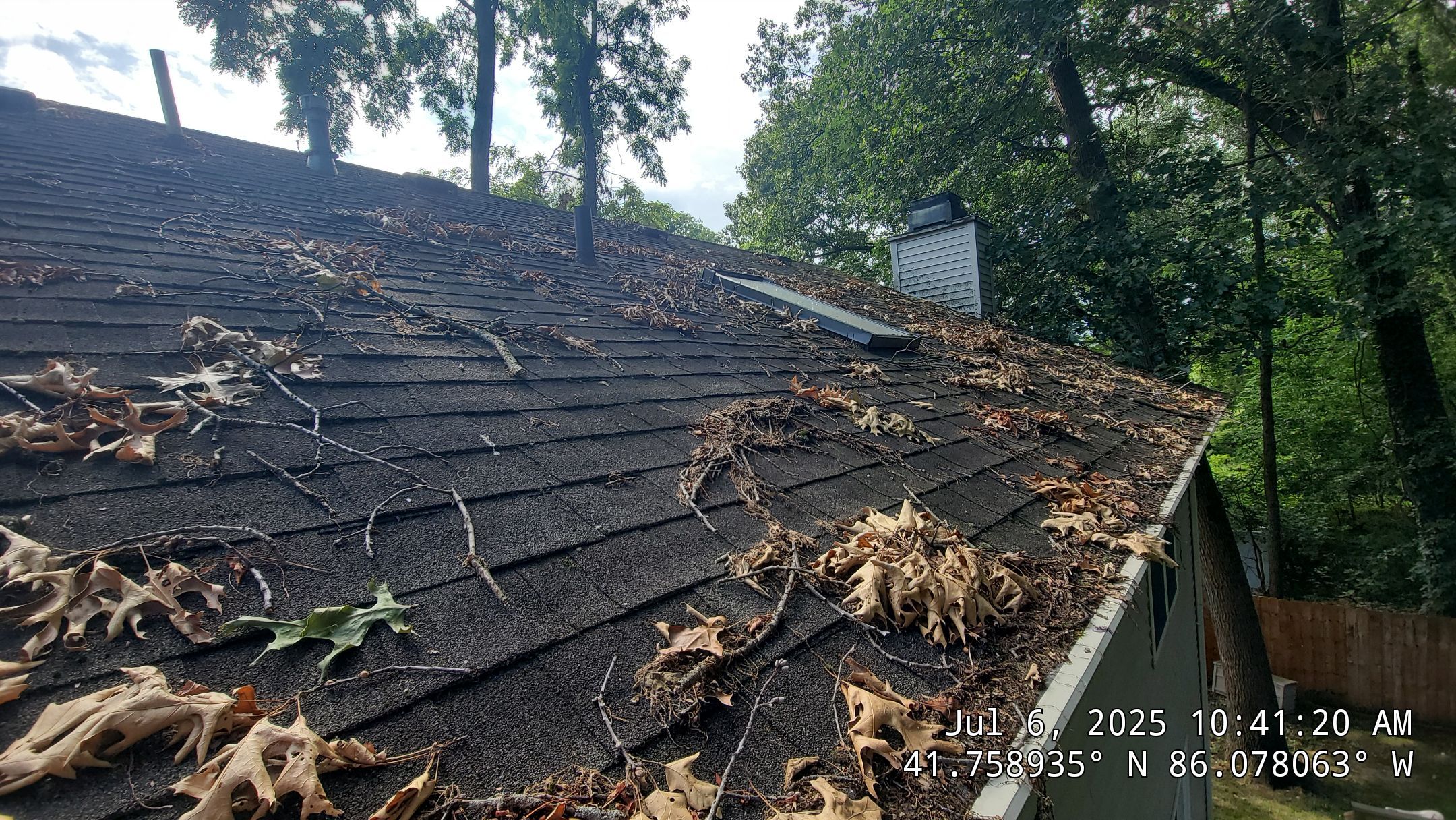 Before: Accumulated Leaves And Twigs On Asphalt Shingles Trap Moisture And Can Accelerate Roof Decay If Not Regularly Cleared.. Double A Power Washing