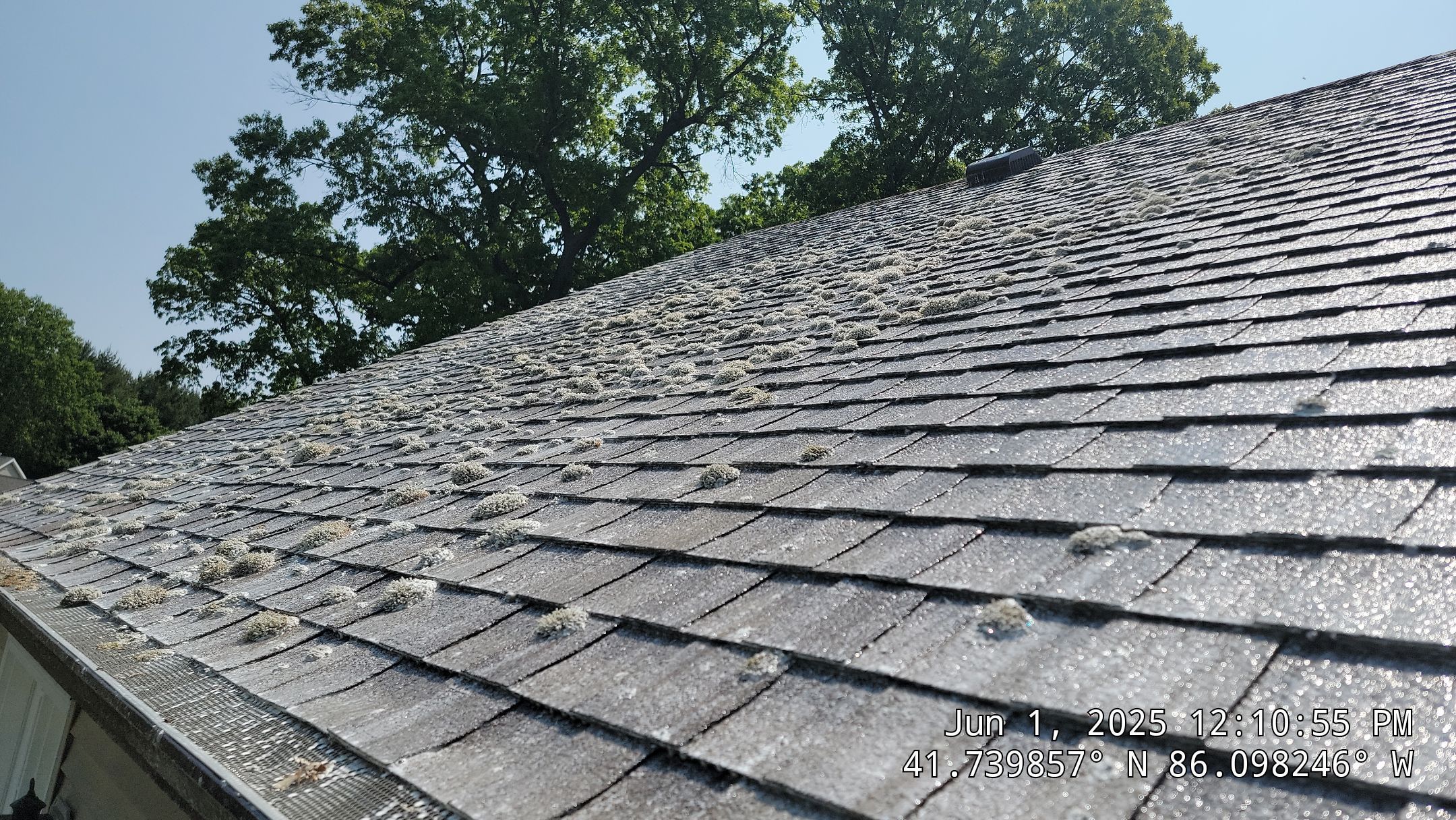 Before: This Roof Showed Heavy Lichen Growth Before Our Soft Wash Treatment Safely Restored The Shingles.. Double A Power Washing